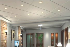 standard-ceiling-new